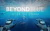 《深蓝：暴风雨之后》Beyond Blue After the Storm